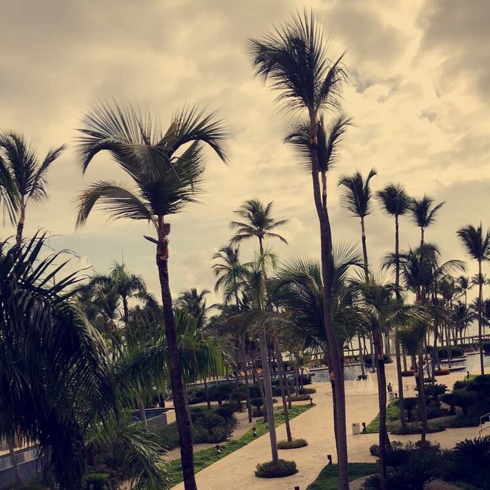 Meet your Posher, Cailyn